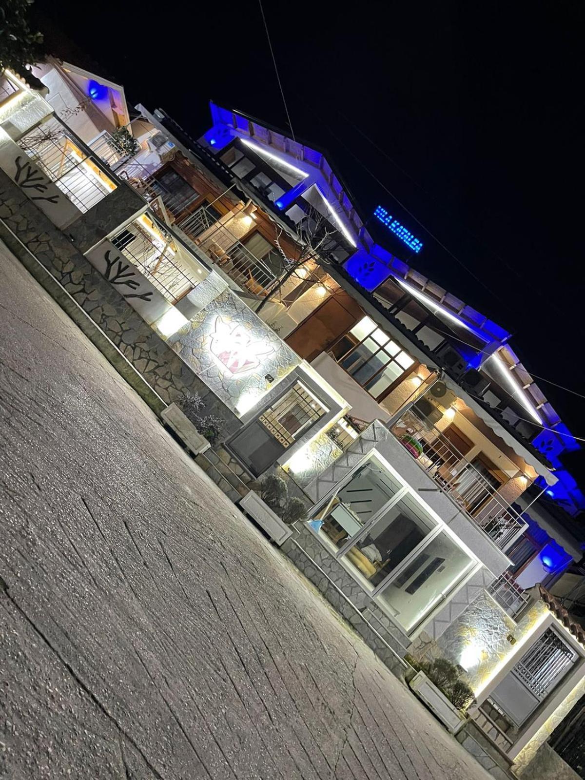 Vila Katalea Gjirokastër المظهر الخارجي الصورة